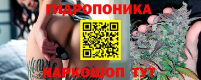 трава Шебекино