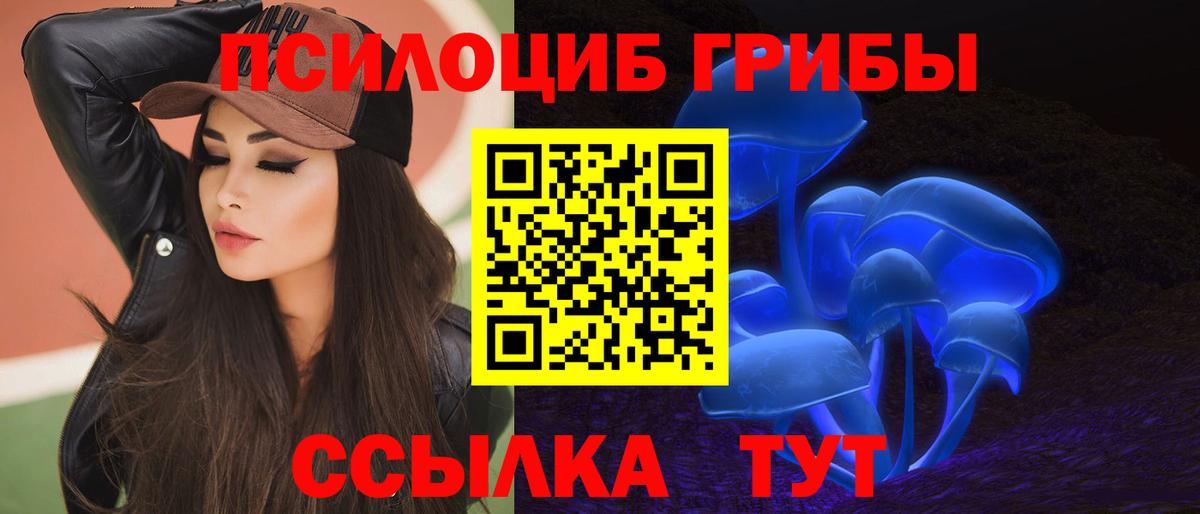 Воронеж  Галлюциногенные грибы Cubensis  наркошоп  Вход с VPN  Галлюциногенные грибы Cubensis 